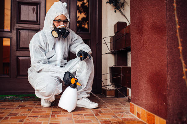 Attic and Crawl Space Rodent Treatment in Campo